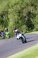 cadwell-no-limits-trackday;cadwell-park;cadwell-park-photographs;cadwell-trackday-photographs;enduro-digital-images;event-digital-images;eventdigitalimages;no-limits-trackdays;peter-wileman-photography;racing-digital-images;trackday-digital-images;trackday-photos